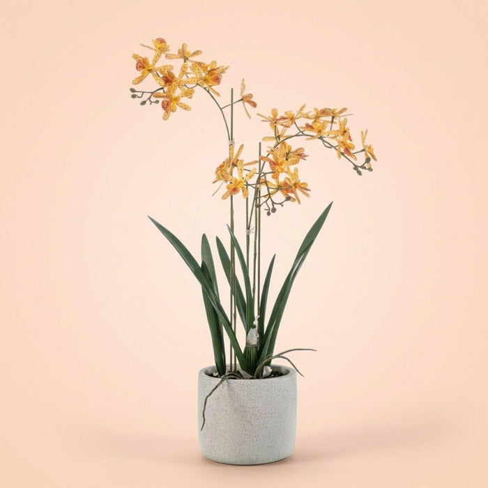 Orchidée artificielle Renanthera jaune et orange en pot - ↕56cm