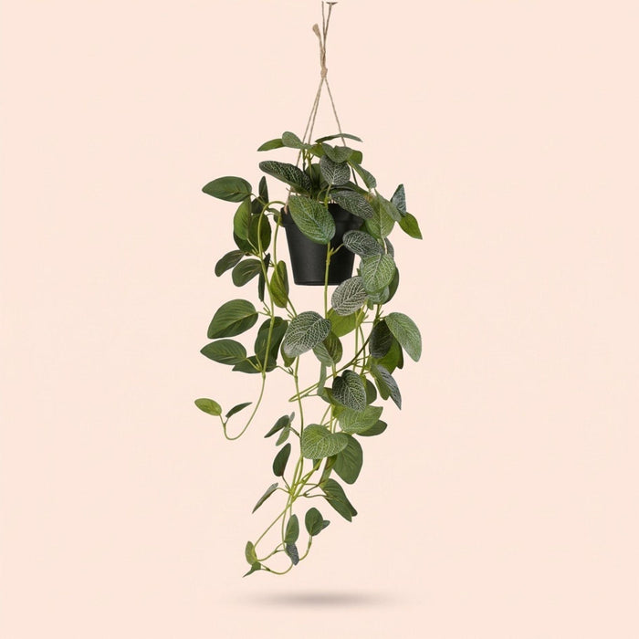 Fittonia artificielle - plante suspendue en pot - ↕70 cm
