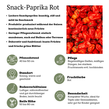 Rode plukgroente mix van 3 planten - Cherry tomaat - Rode snack paprika - Rode hete peper plant - ↕45cm - Ø14cm