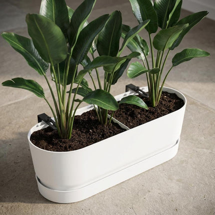 Balkonbak Elho Greenville Easy Balcony D25cm - Wit - Bloembak