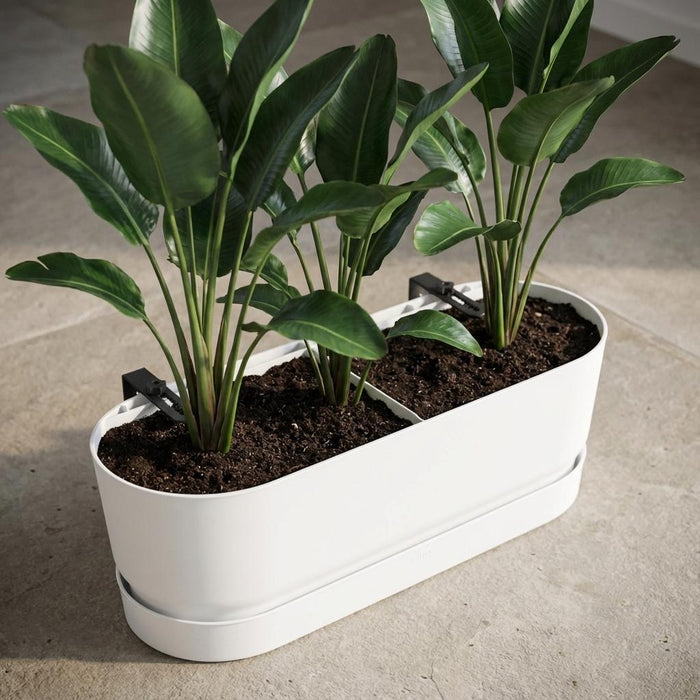 Balkonbak Elho Greenville Easy Balcony D25cm - Wit - Bloembak