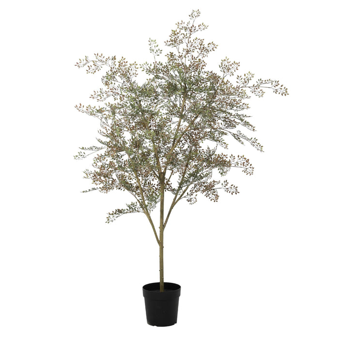 Kunstplant Bucida - ↕165cm