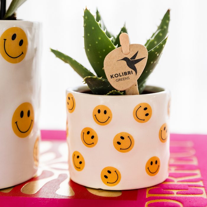 Kolibri Home | Smiley sierpot - Ø6cm