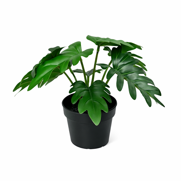 Philodendron artificiel Xanadu - ↕20 cm