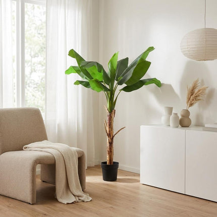 Sztuczna roślina Banana Plant Musa - ↕150cm