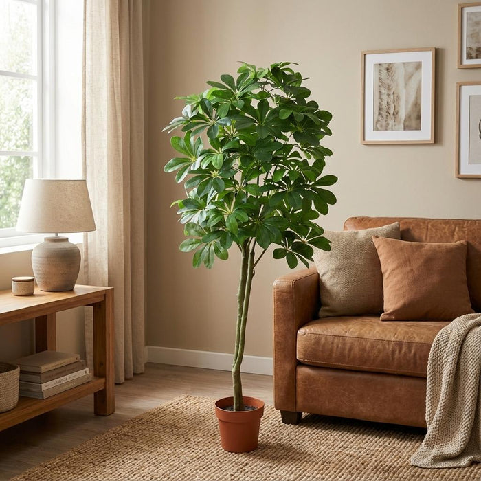 Kunstplant Pachira Aquatica - ↕150cm