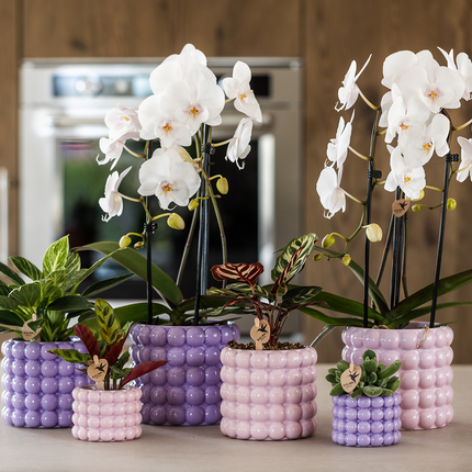 Kolibri Home | Poppy decorative pot - Pink - Ø12cm
