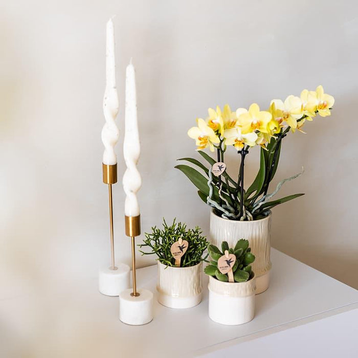 Kolibri Home | Bamboo sierpot - Travertine - Ø6cm