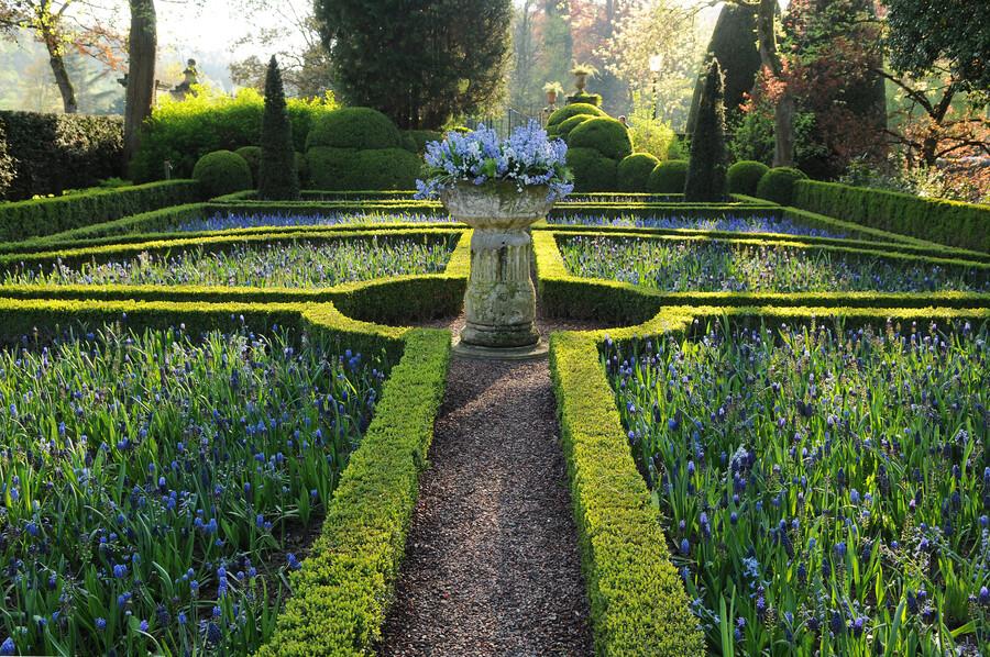 Buxus Sempervirens - ↕10-25cm - Ø9cm - 24x