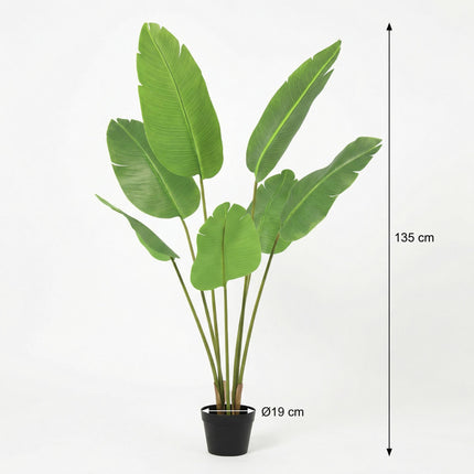 Sztuczna roślina Strelitzia Nicolai - ↕135cm