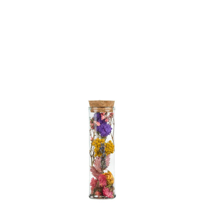 Flores secas - Botella de los deseos pequeña - Multicolor - 12 piezas - ↕10 cm