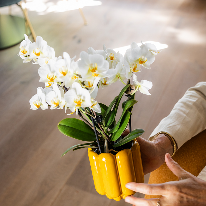 Kolibri Home | Retro Shine sierpot - Yellow - Ø9cm