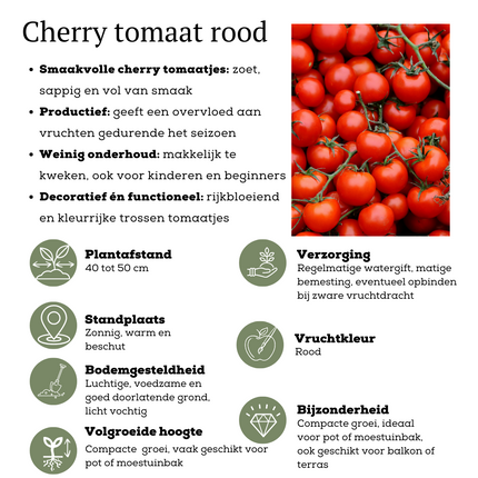 Rode plukgroente mix van 3 planten - Cherry tomaat - Rode snack paprika - Rode hete peper plant - ↕45cm - Ø14cm