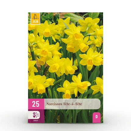 Bulbes de narcisses Tête-à-Tête - Jaune - 25 bulbes - Calibre 10/11 - Paquet XXL