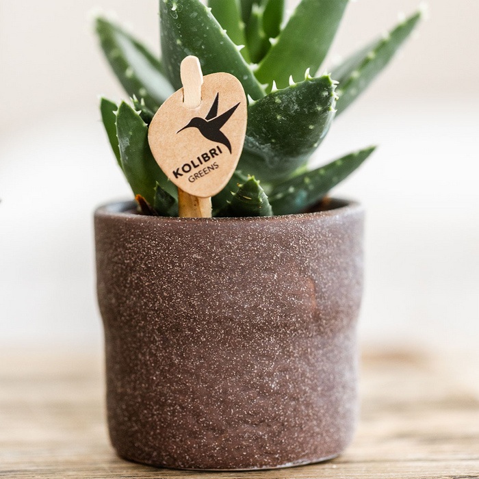 Kolibri Home | Rustic sierpot - Brown - Ø6cm