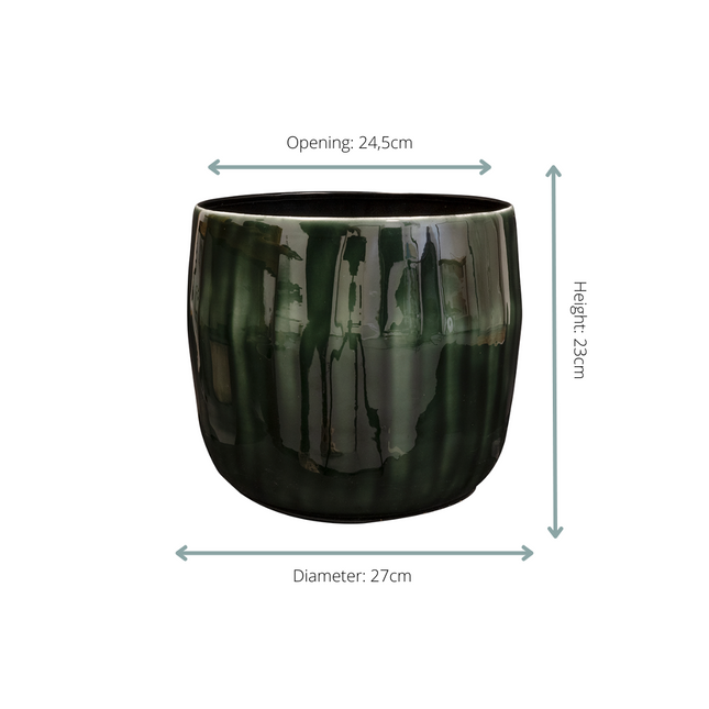 Vaso in pino Babet - D27 x H23