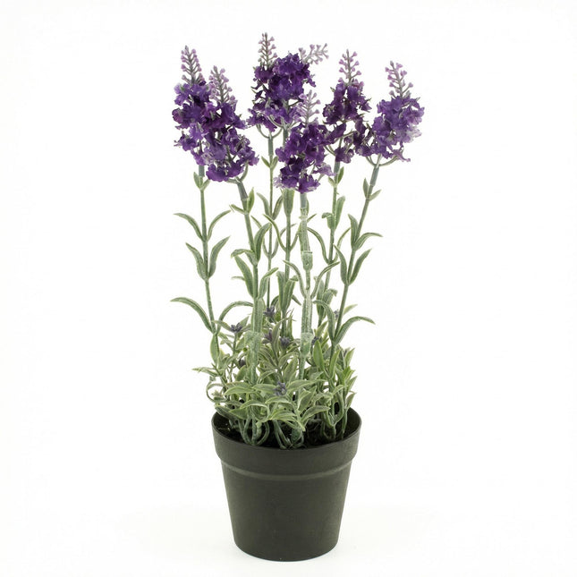 Pianta di lavanda artificiale in vaso - ↕28 cm