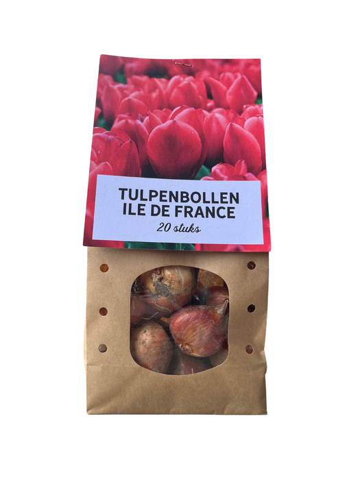 Ile de france - Tulpenbollen 20 stuks