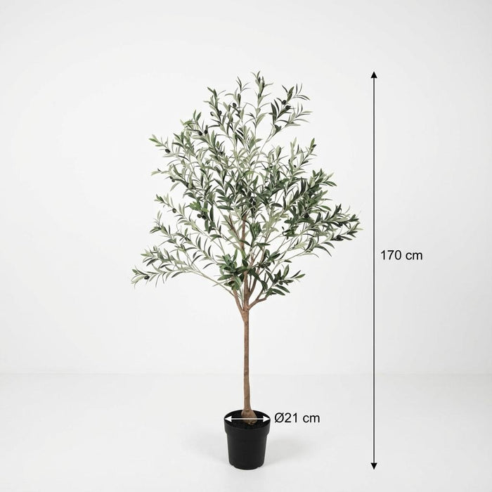 Kunstplant Olijfboom - 170cm
