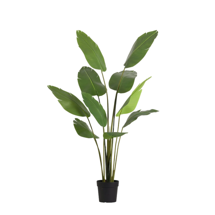 Sztuczna roślina Strelitzia Nicolai - ↕180cm