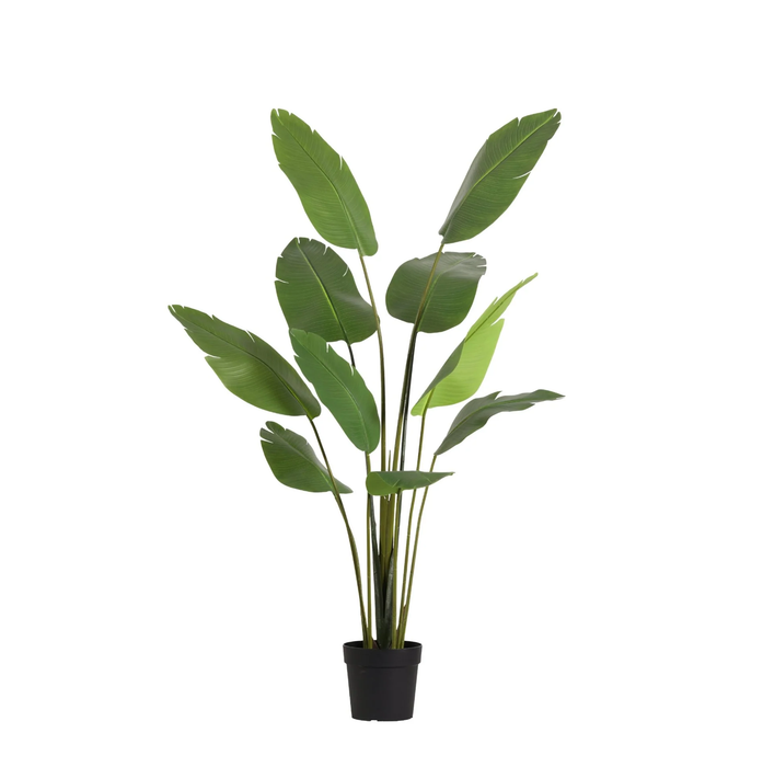 Kunstplant Strelitzia Nicolai - ↕180cm