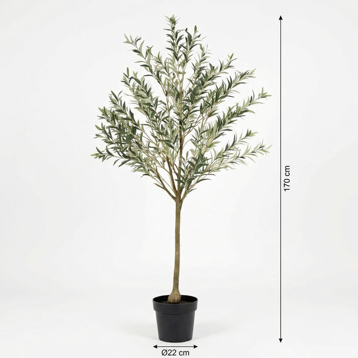 Kunstplant Olijfboom - ↕170cm