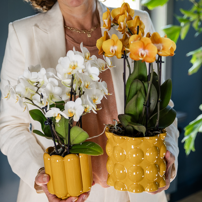 Kolibri Home | Retro Shine sierpot - Yellow - Ø9cm