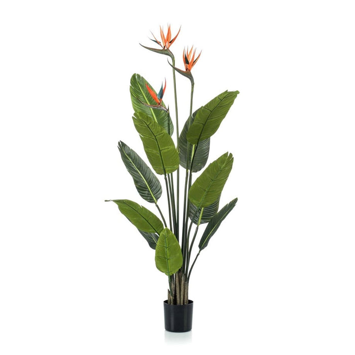 Strelitzia met bloemen - Kunstplant - 120cm - In zwarte pot