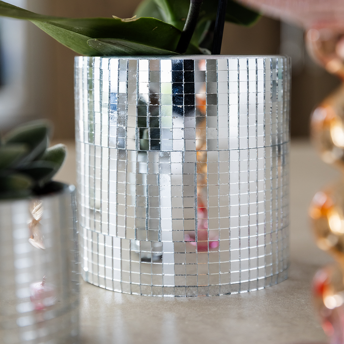 Kolibri Orchids | Paarse Vienna orchidee + Disco sierpot – potmaat Ø9cm | bloeiende kamerplant – vers van de kweker