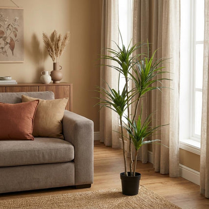 Sztuczna roślina Dracaena - ↕165cm