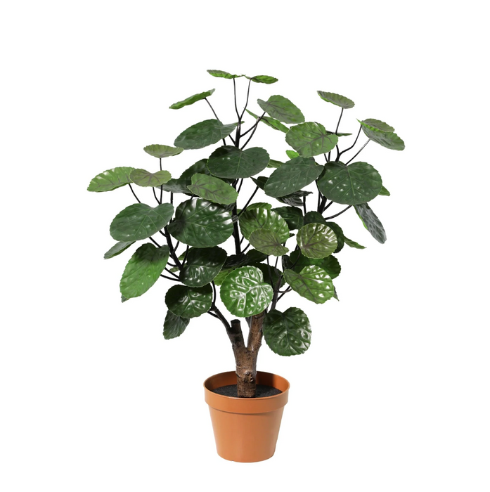 Kunstplant Polysicas Fabian - ↕55cm