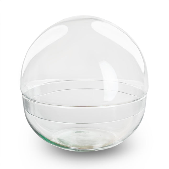 Terrarium-Glaskuppel, zweiteilig - Ø 20 cm ↑ 20 cm