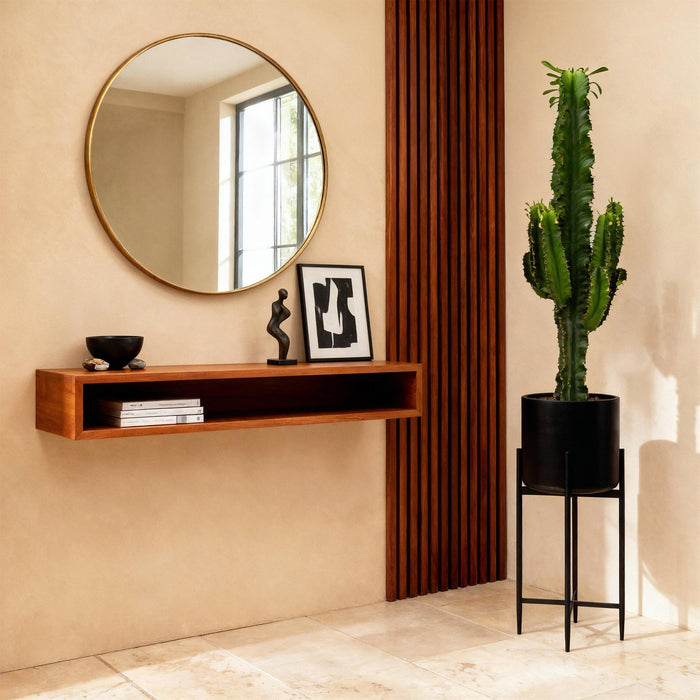 Euphorbia Eritrea - Afrikaanse melkboom - ↕70cm - Ø19cm