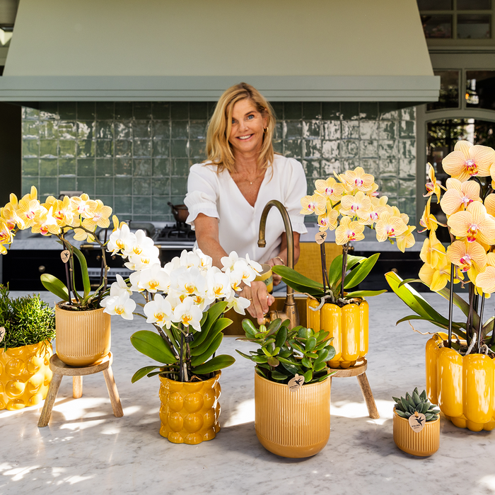 Kolibri Home | Retro Shine sierpot - Yellow - Ø9cm