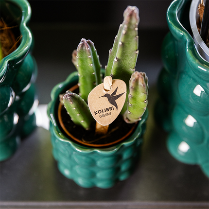 Kolibri Home | Cotton Shine decorative pot - Green - Ø6cm