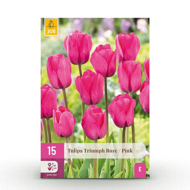Bulbi da fiore - Tulipano Triumph Rosa - Colore Rosa - 15 pezzi - Misura bulbo 11/12 - Confezione XXL