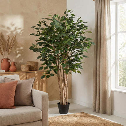 Artificial Ficus Benjamina plant - ↕150cm
