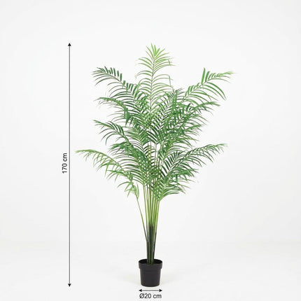Sztuczna palma Kentia - ↕170 cm