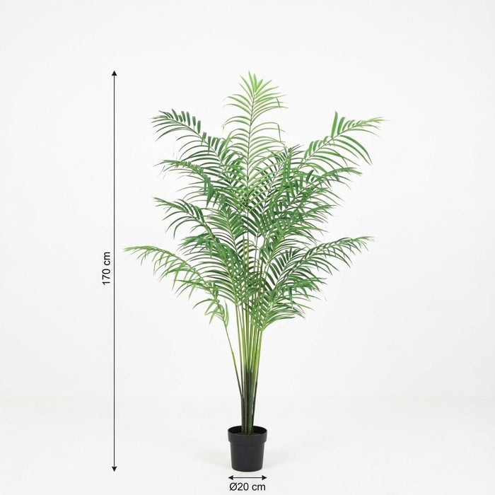 Kunstplant Kentia palm - ↕170cm