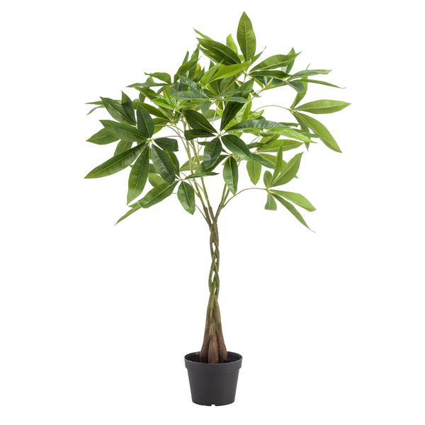 Kunstplant - Pachira Aquatica - Geldboom - ↕90cm - Ø15cm