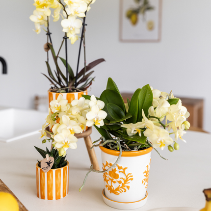 Pot Kolibri Home I Malaga - Orange - Ø9cm