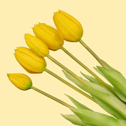 Wazon Lady 'Kylie' ↑ 27 cm + 10x Real Touch Yellow Tulips