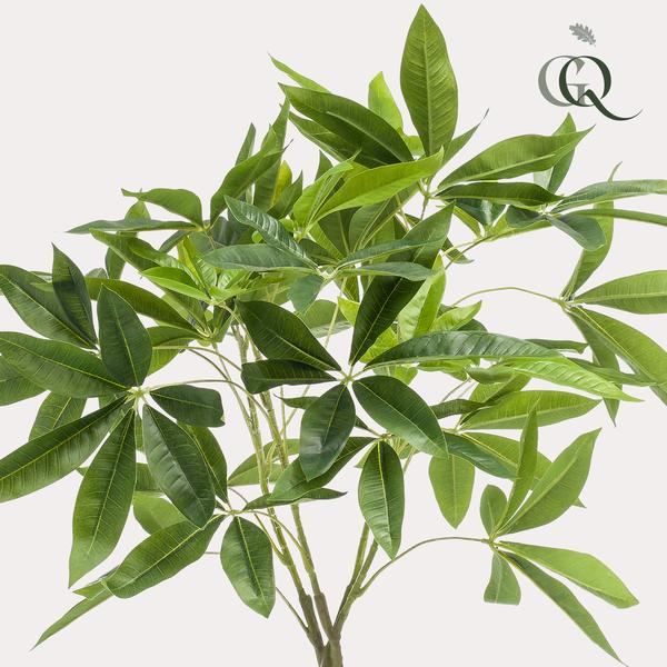Kunstplant - Pachira Aquatica - Geldboom - ↕90cm - Ø15cm