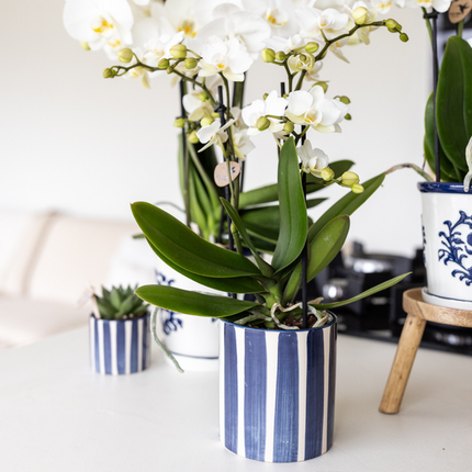 Kolibri Home | Malet stribe - Blå - Ø9 cm