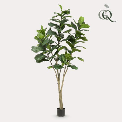Sztuczna roślina Ficus Lyrara - Tytoń - ↕210cm - Ø17cm