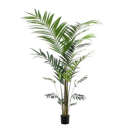 Kunstplant Kentia - Kentiapalm - ↕210cm - Ø17cm