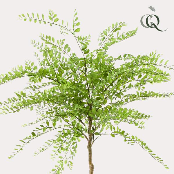 Kunstplant - Sophora tree  - Honingboom - 190cm