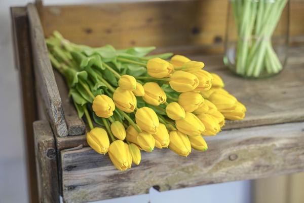 Gelber Tulpenstrauß - 10 Stück - künstliche Tulpen mit realistischer Haptik - 42 cm (gelb)