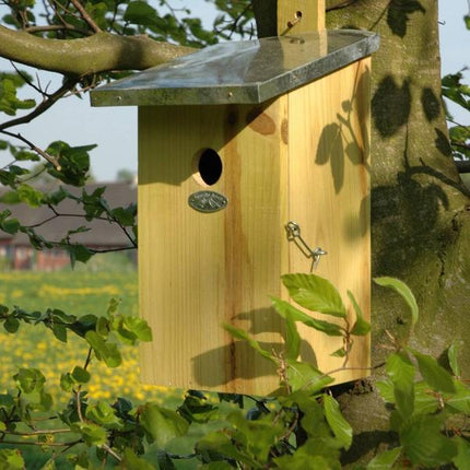 Nichoir d'observation - Maison d'oiseaux - Oiseaux et animaux de jardin