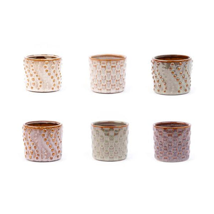 Mini-plant set 6 - Inclusief 6x pot set Madrid